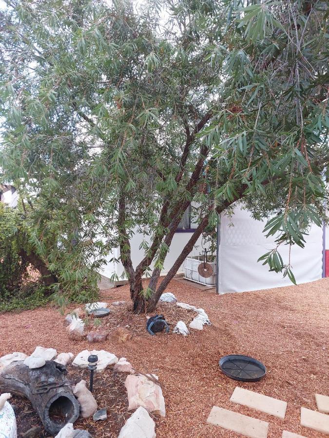 Lavender Cottage - At Home In Lightning Ridge Bagian luar foto